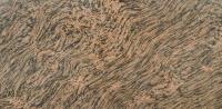 TIGER SKIN GRANITE